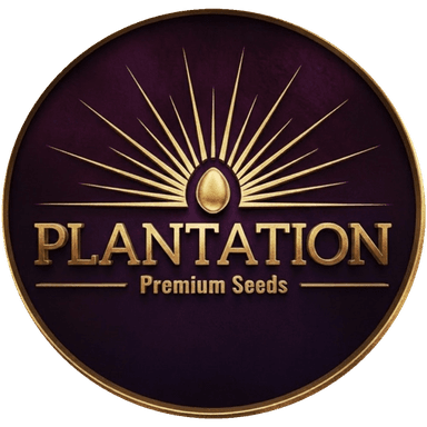 Plantation Premium Seeds