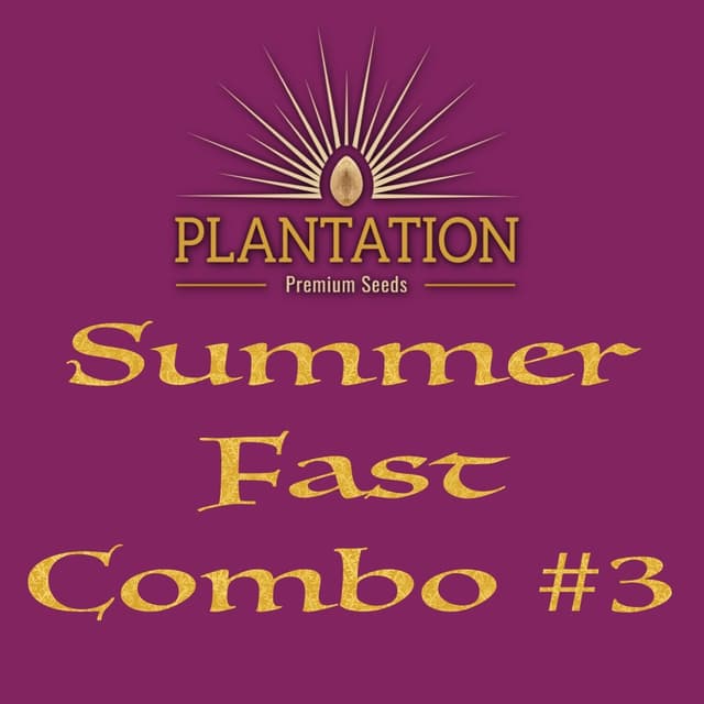 Summer (Fast) Combo #3 – The Mystery Pack That Delivers