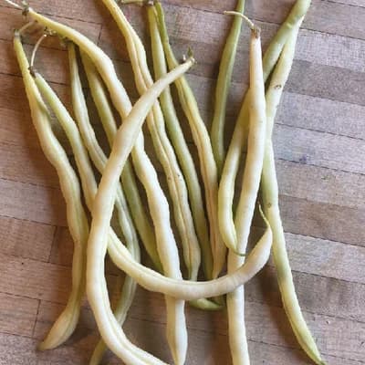 Monte Gusto Climbing Beans