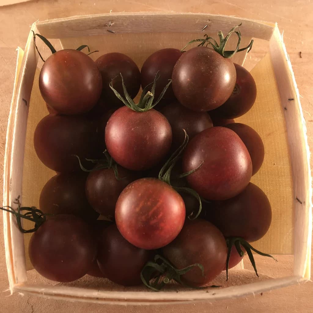 Black Cherry Tomato