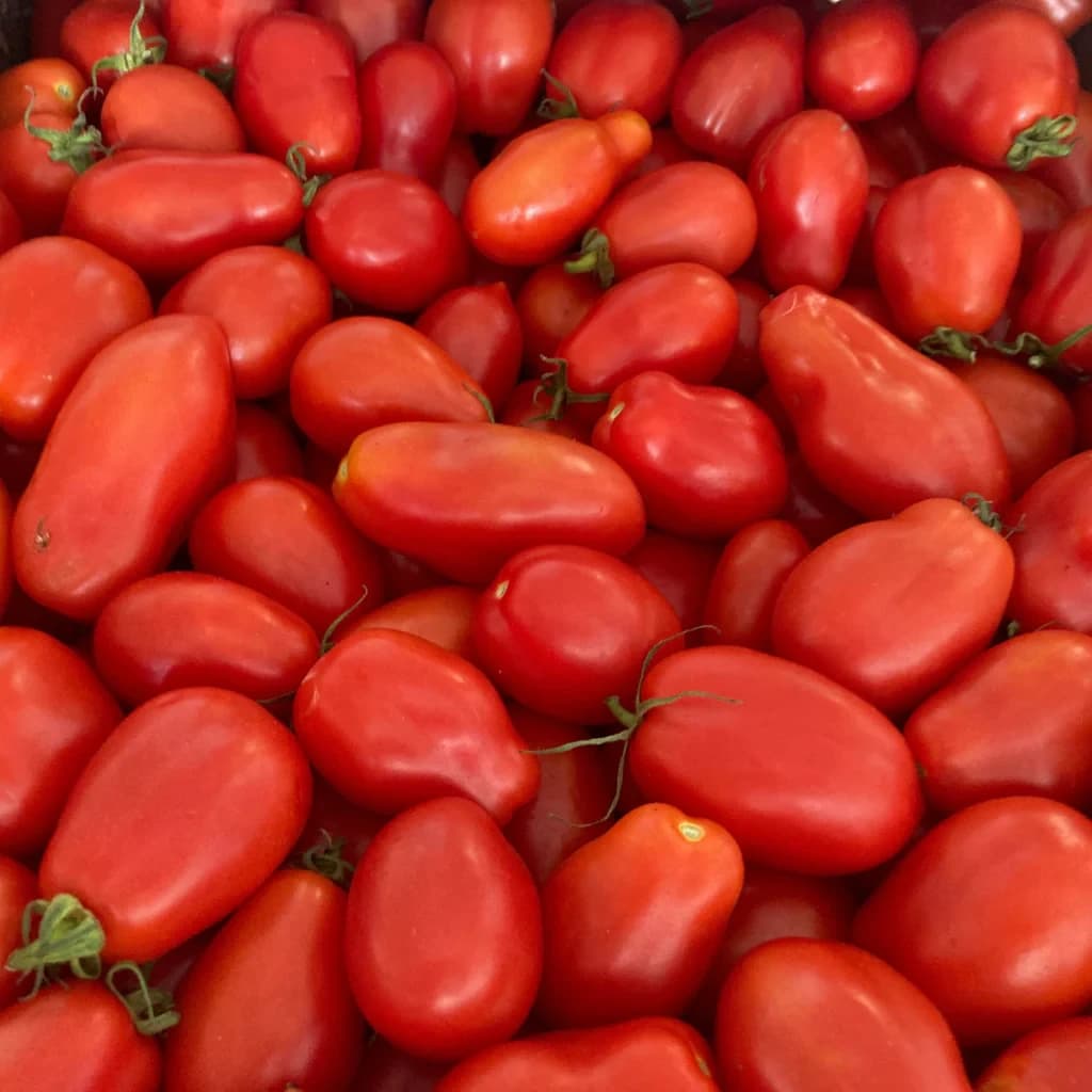 San Marzano Tomato