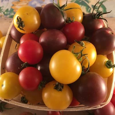 Cherry Tomato Mix