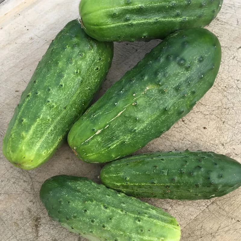 National Pickling