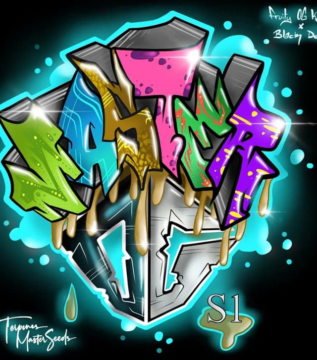 Master OG S1 Feminized – The Heavy Indica You've Been Waiting For