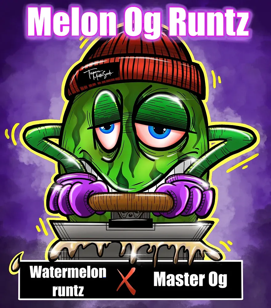 Melon OG Runtz F1 Feminized