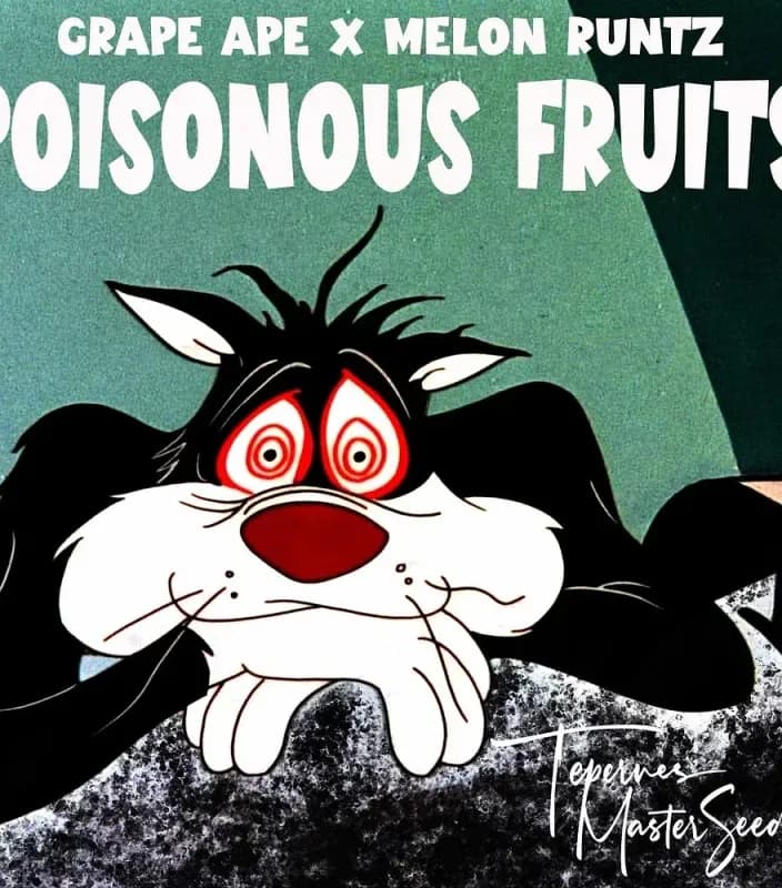 Poisonous Fruits