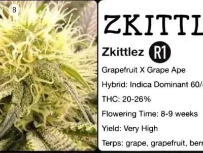 Zkittlez R1