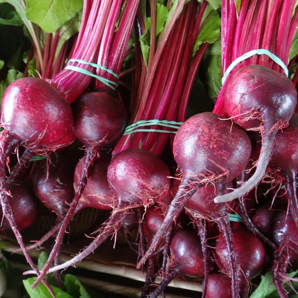 Detroit Dark Red
