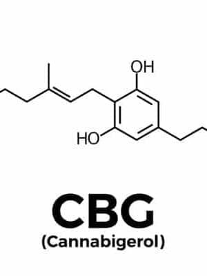 Hemp CBG 16%