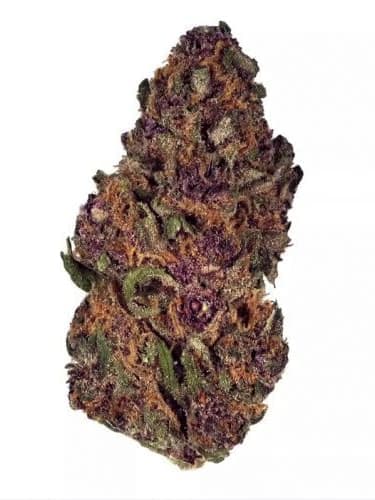 Forbidden Fruit
