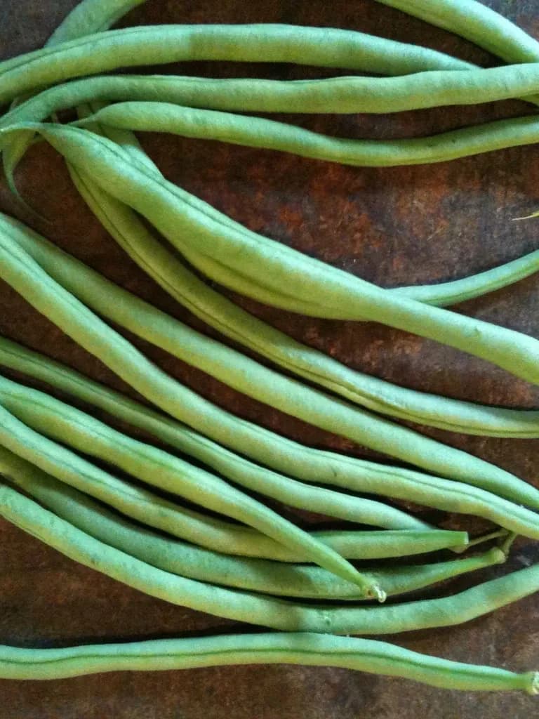 Green Climbing Cobra Beans
