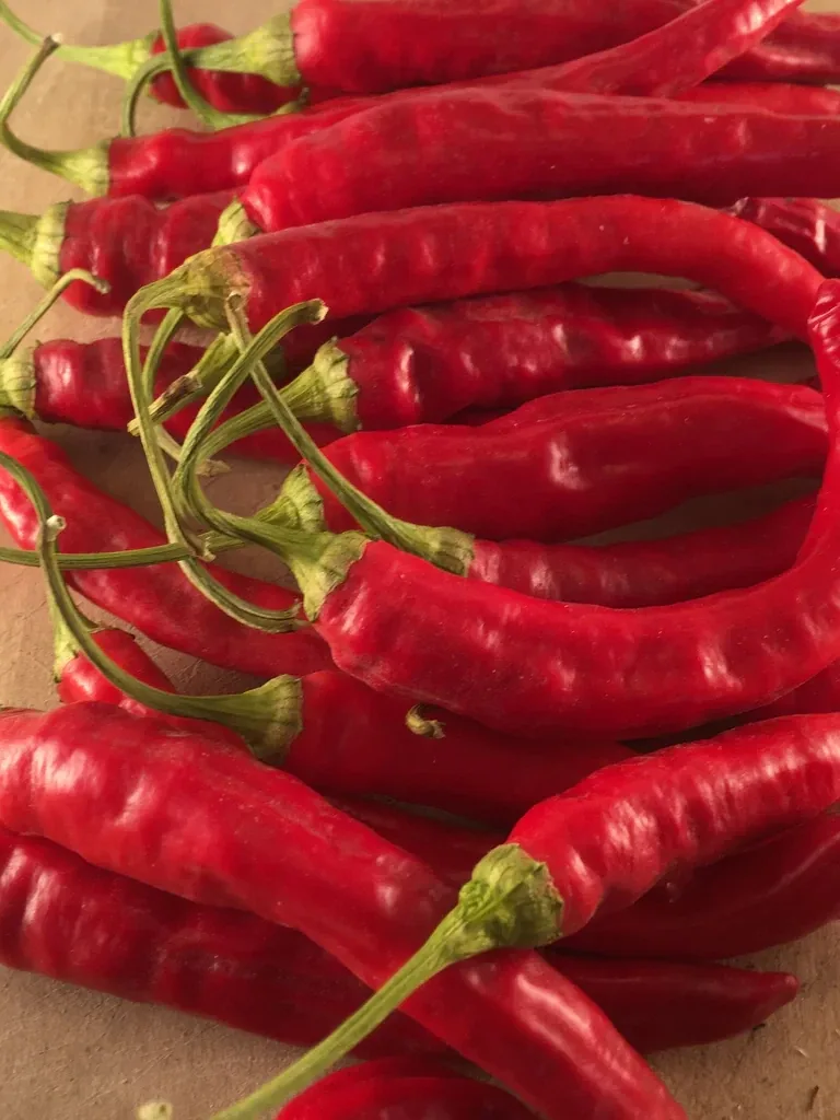 Red Rocket Pepper