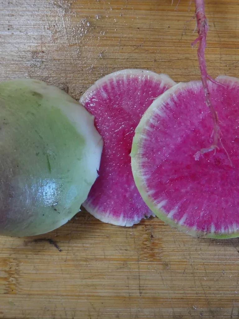 Watermelon Radish