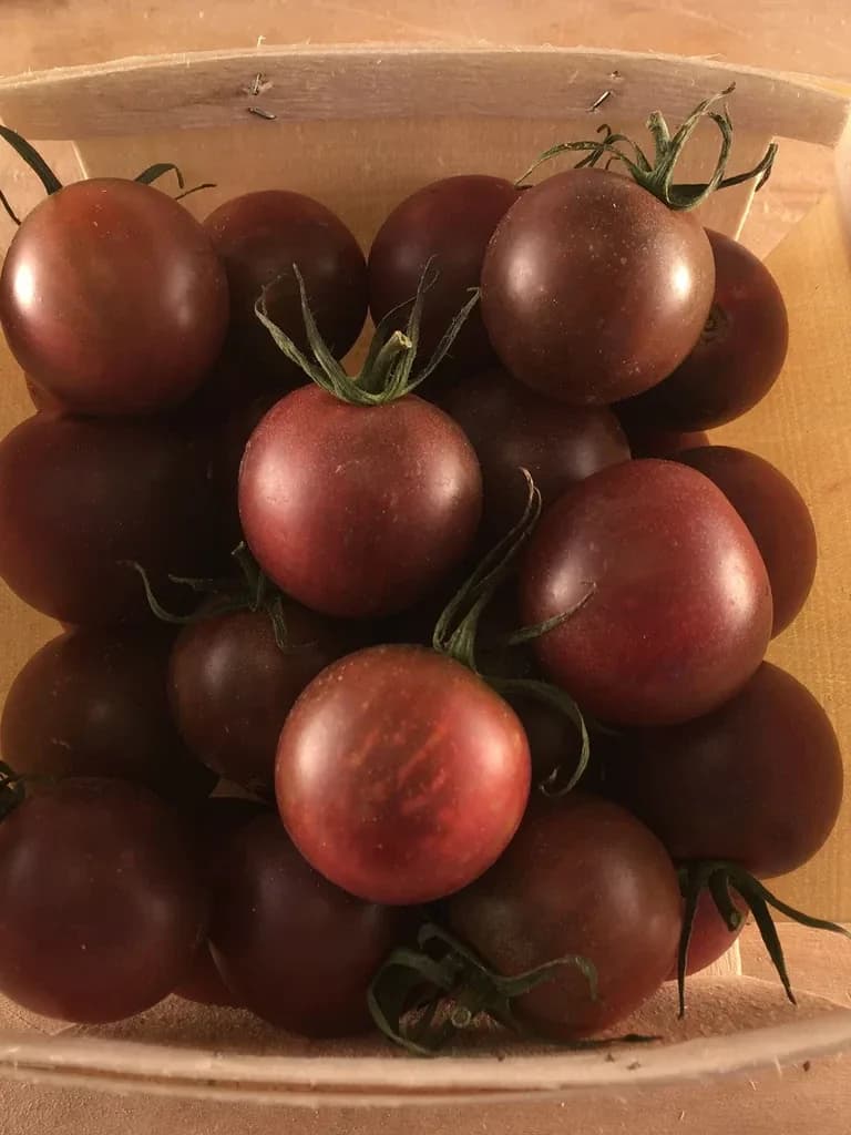 Black Cherry Tomato