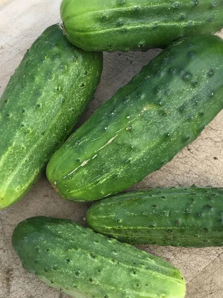 National Pickling
