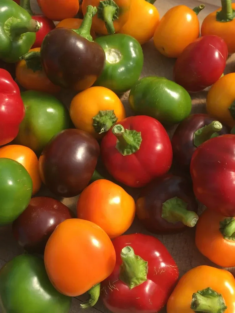 Hot Pepper Bomb Mix