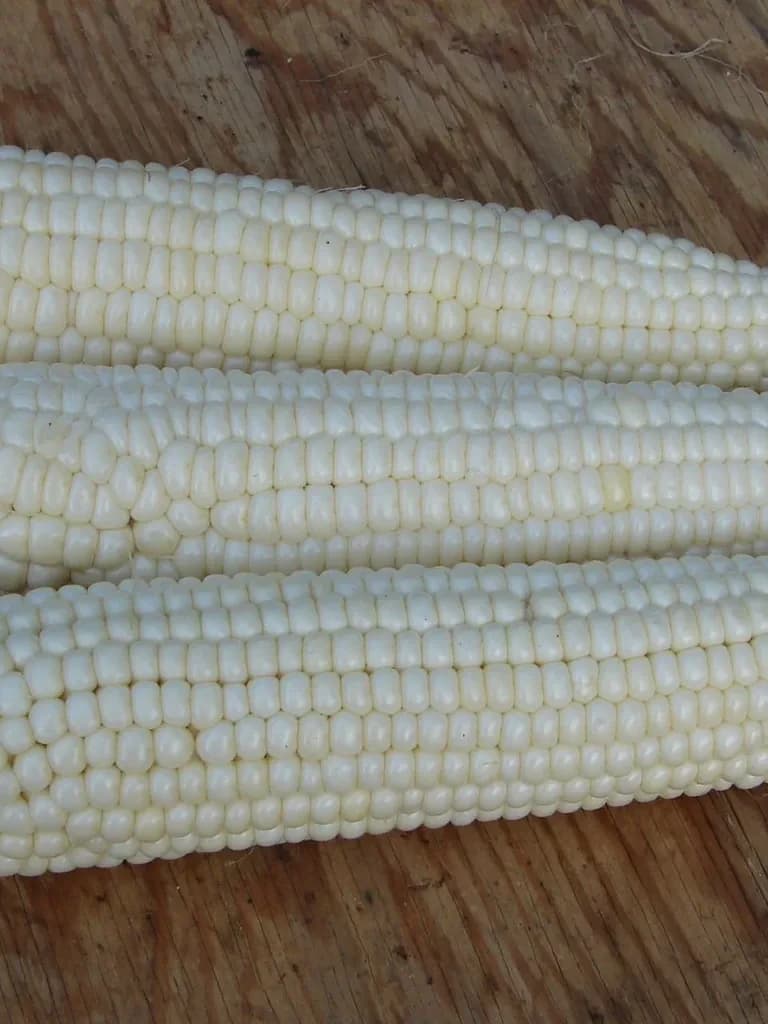 Tuxana Corn