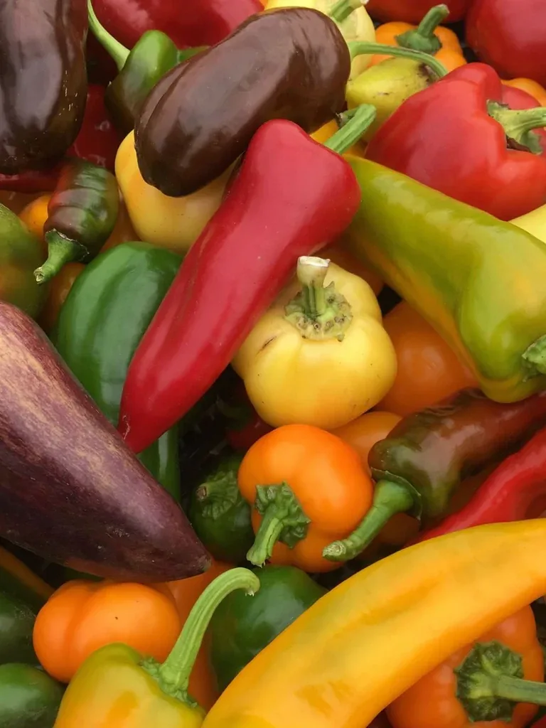 Sweet Pepper Mix