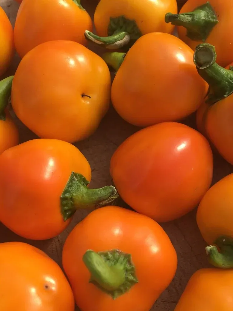 Carrot Bomb Pepper