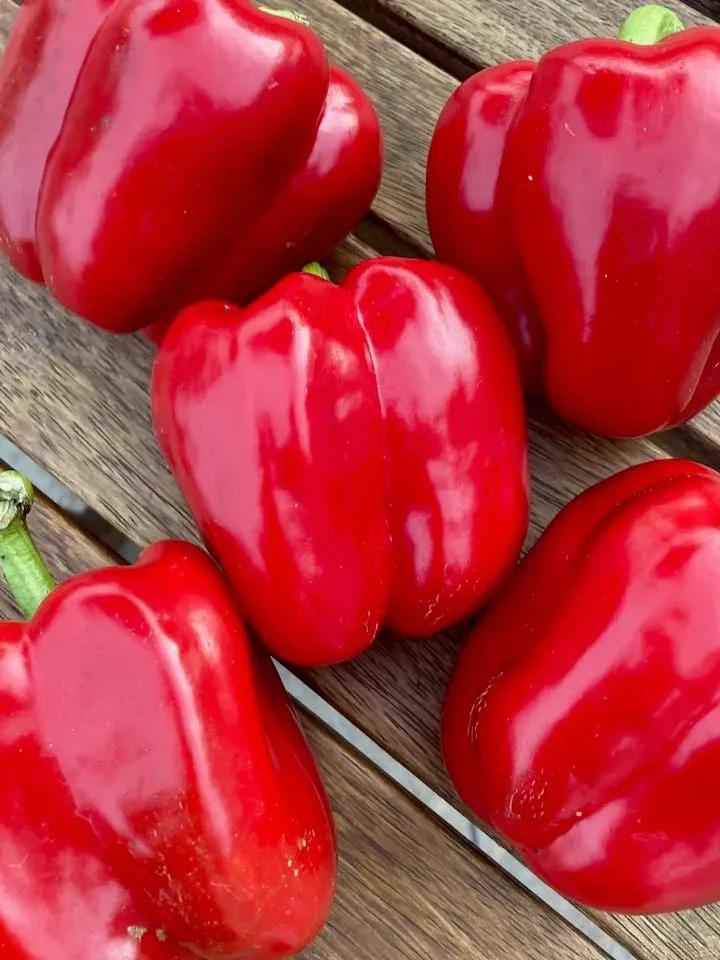 Red Fire Sweet Pepper