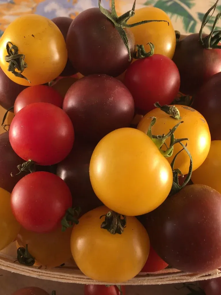 Cherry Tomato Mix