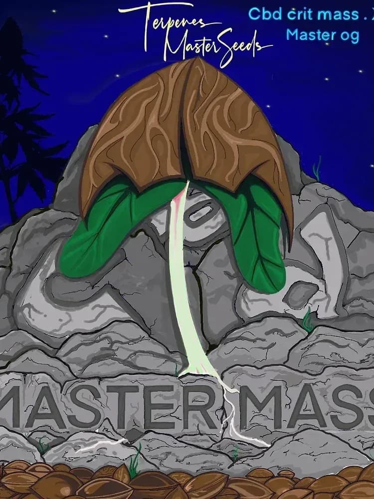 CBD Master Mass