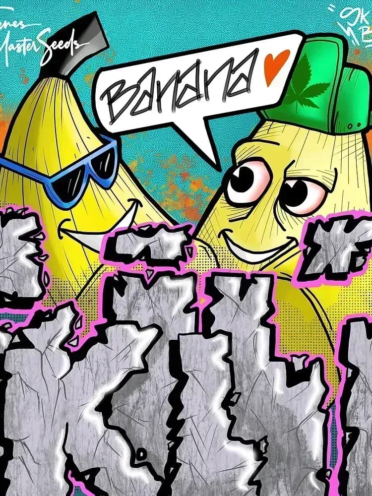 Skill'n Banana F1