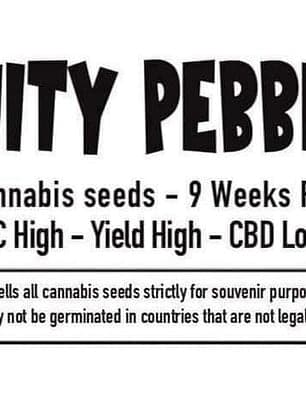 Fruity Pebbles R1