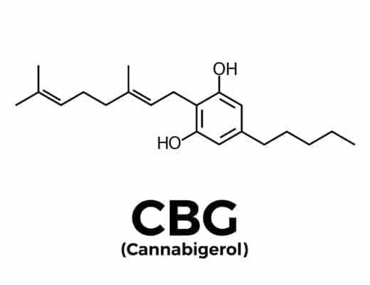 Hemp CBG 16% Feminized — High-CBG Sativa for Wellness Growers