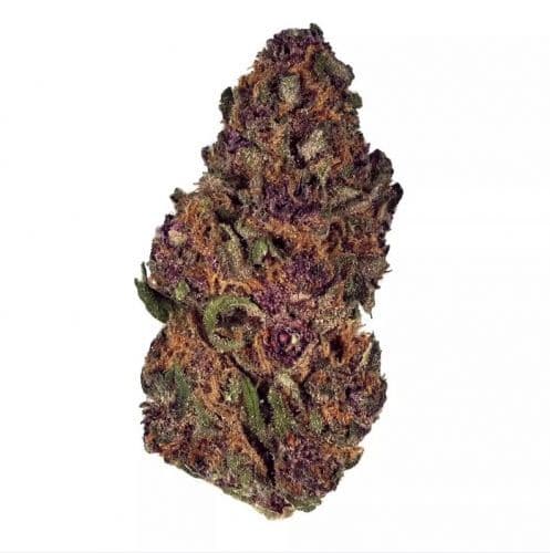 Forbidden Fruit Feminized – Cherry Pie x Tangie Indica Powerhouse
