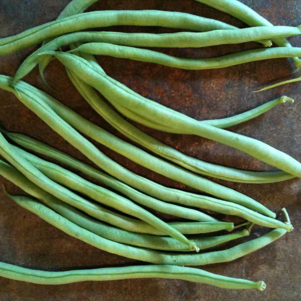 Green Climbing Cobra Beans