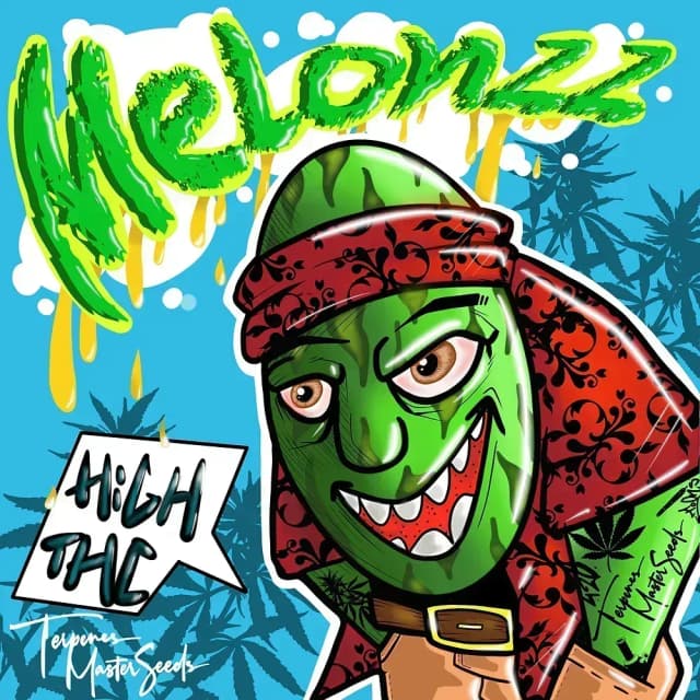 Melonzz Feminized – Sweet Tropical Power from Melon Gum × Zkittlez