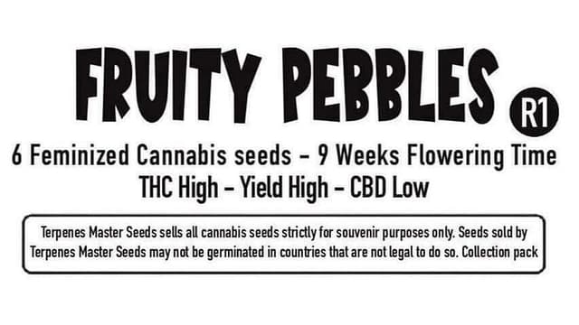 Fruity Pebbles R1 Feminized – Sweet, Tropical, and Seriously Potent